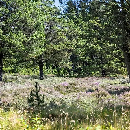 0119-romo-smafolksvej-43 * Kongsmark